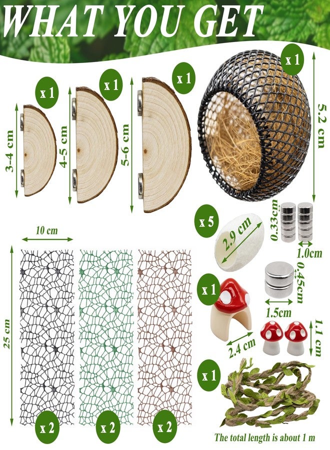 Niuohoy Jumping Spider Habitat Accessories Enclosure Habitat Accessories Jumping Spider Web Climbing and Feeding Platforms with Magnets for Small Insects Critters - Image 2